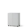 LMW-5008 목재시약장